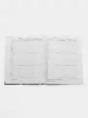 Ледяной дневник школьный, универсальный, для 1-11 классов, аниме