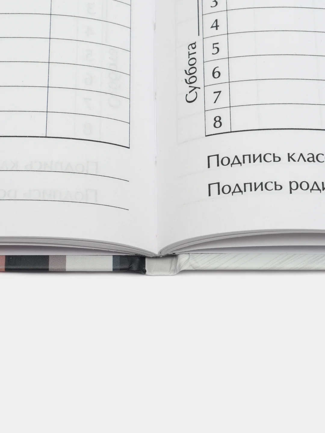Ледяной дневник школьный, универсальный, для 1-11 классов, аниме