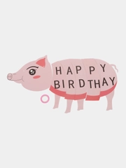 Гирлянда-растяжка "Happy Birthday", 4 вида