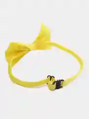 Желтый бабочка для собак и кошек