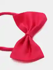 Фиолетовый бабочка для собак и кошек