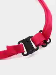 Фиолетовый бабочка для собак и кошек