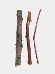 Палочки орешника, вишни, разные