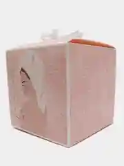Пастельно-коралловый коробка складная девушке, 20 видов
