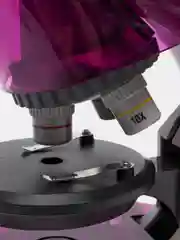 Микроскоп Levenhuk LabZZ M101 AmethystАметист Микроскоп для школьника с набором для опытов