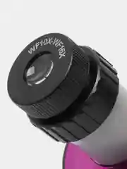Микроскоп Levenhuk LabZZ M101 AmethystАметист Микроскоп для школьника с набором для опытов