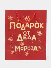 Рыжий пакет подарочный "С Днём Рождения", "Давай зажигай" Единорог, Кошка, Динозавры 26*12*32 см
