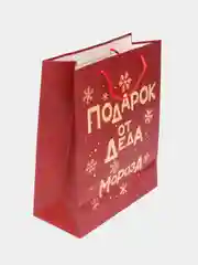 Рыжий пакет подарочный "С Днём Рождения", "Давай зажигай" Единорог, Кошка, Динозавры 26*12*32 см