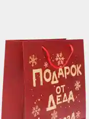 Рыжий пакет подарочный "С Днём Рождения", "Давай зажигай" Единорог, Кошка, Динозавры 26*12*32 см