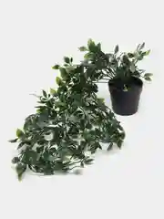 Искусственные цветы для декора фейка, лиана в кашпо