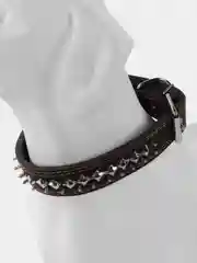 Ошейник комбинированный, кожа, брезент "Ёж", 70 х 3,5 см, ОШ 45-60 см, чёрный