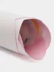 Подставка пластиковая под посуду (фигурная, с 3D изображением) "Щенячий патруль. Девочки"