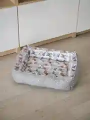 Фиолетовый лежак для кошек и собак мелких пород