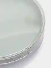 Лампочка светодиодная Jazzway LED-Power-GX70, 5000K, 230V, 50Hz