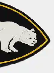 Разноцветный нарукавный знак регионального командования. Шеврон армейский "Внутренние Войска"
