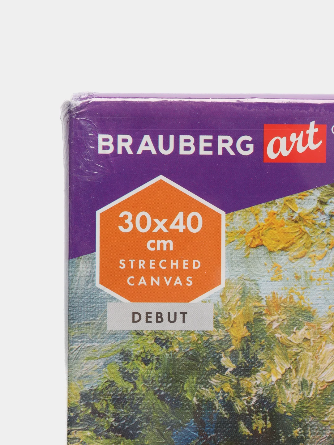 Холст на подрамнике BRAUBERG ART DEBUT 30х40 см, грунтованный, хлопок, мелкое зерно 191023