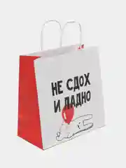 Пакет подарочный "И ладно", 22 х 22 х 11 см