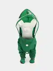 Зеленый дождевик для собак