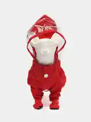 Зеленый дождевик для собак