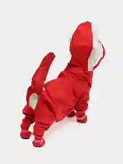 Зеленый дождевик для собак