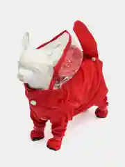 Зеленый дождевик для собак