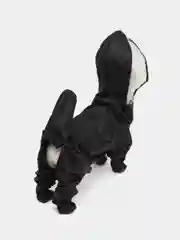 Черный дождевик для собак