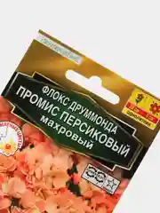 Семена Флокса Промис персиковый махровый