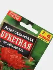 Астра Букетная лососево красная (семена,цветы)