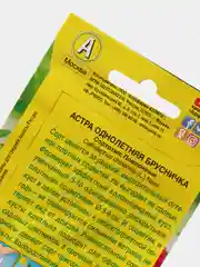 Астра Брусничка (семена,цветы)