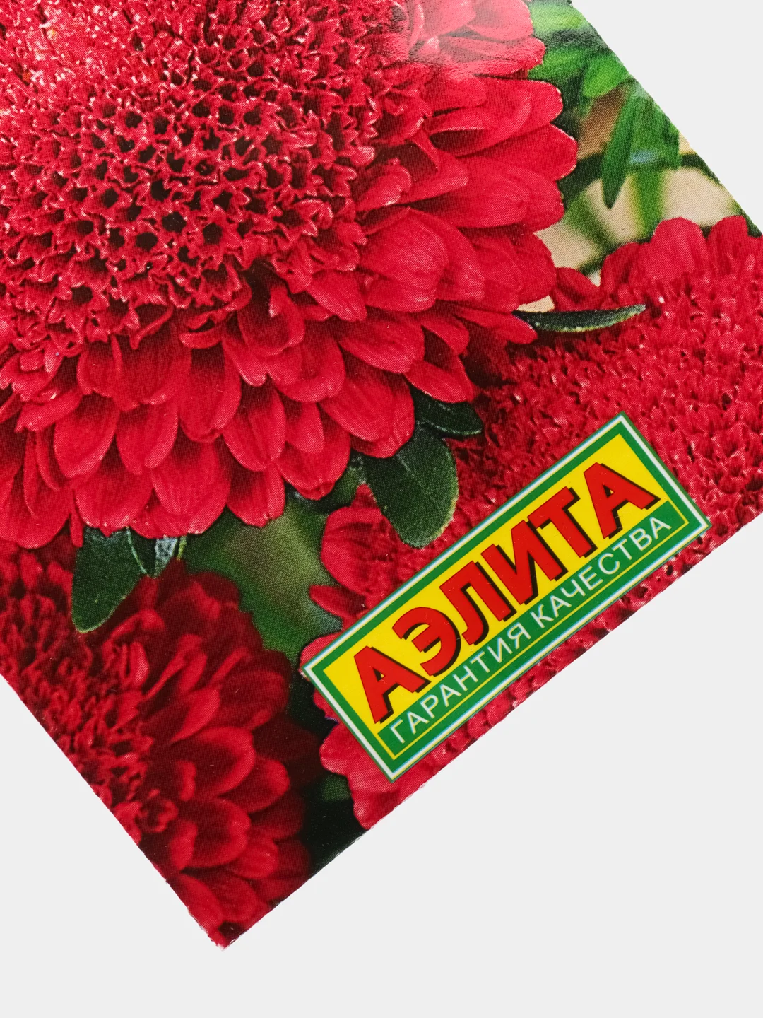 Астра Брусничка (семена,цветы)