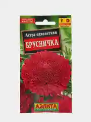 Астра Брусничка (семена,цветы)