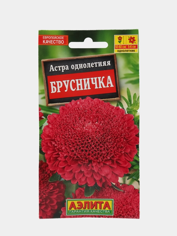 Астра Брусничка (семена,цветы)