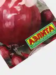 Лук Кармен (семена)
