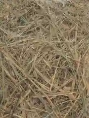 Сено луговое ZooKing 20л, для кроликов, грызунов