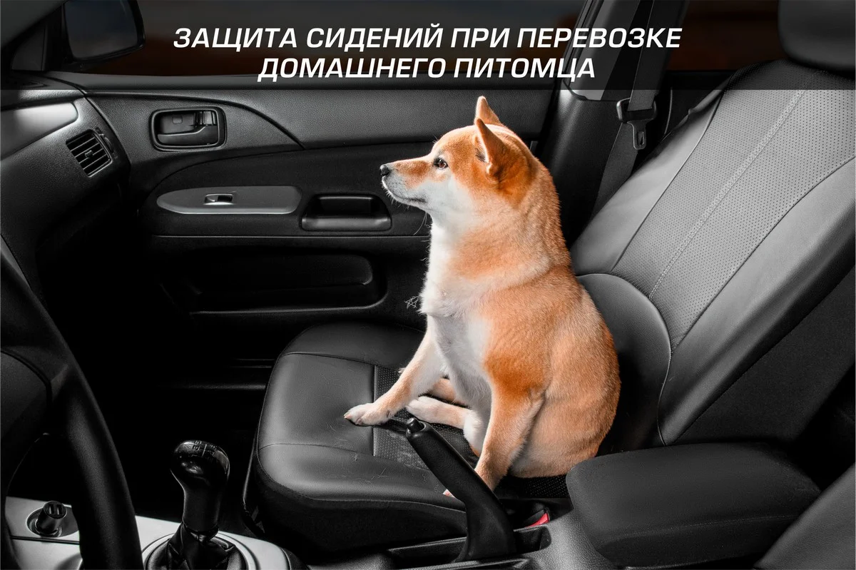 Универсальные чехлы AutoFlex, комплект 2 шт, экокожа, SC.U2.TW
