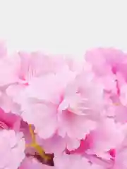 Лавандовый букет "Весенний"