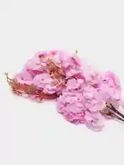 Лавандовый букет "Весенний"