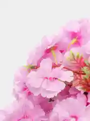 Лавандовый букет "Весенний"
