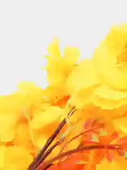 Желтый букет "Весенний"