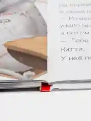 Котенок Шмяк - маленький почтальон /Скоттон Роб