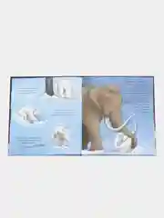 Книжки-картинки. Хочу быть как ты! /Чапмен Джейн