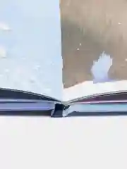 Книжки-картинки. Хочу быть как ты! /Чапмен Джейн