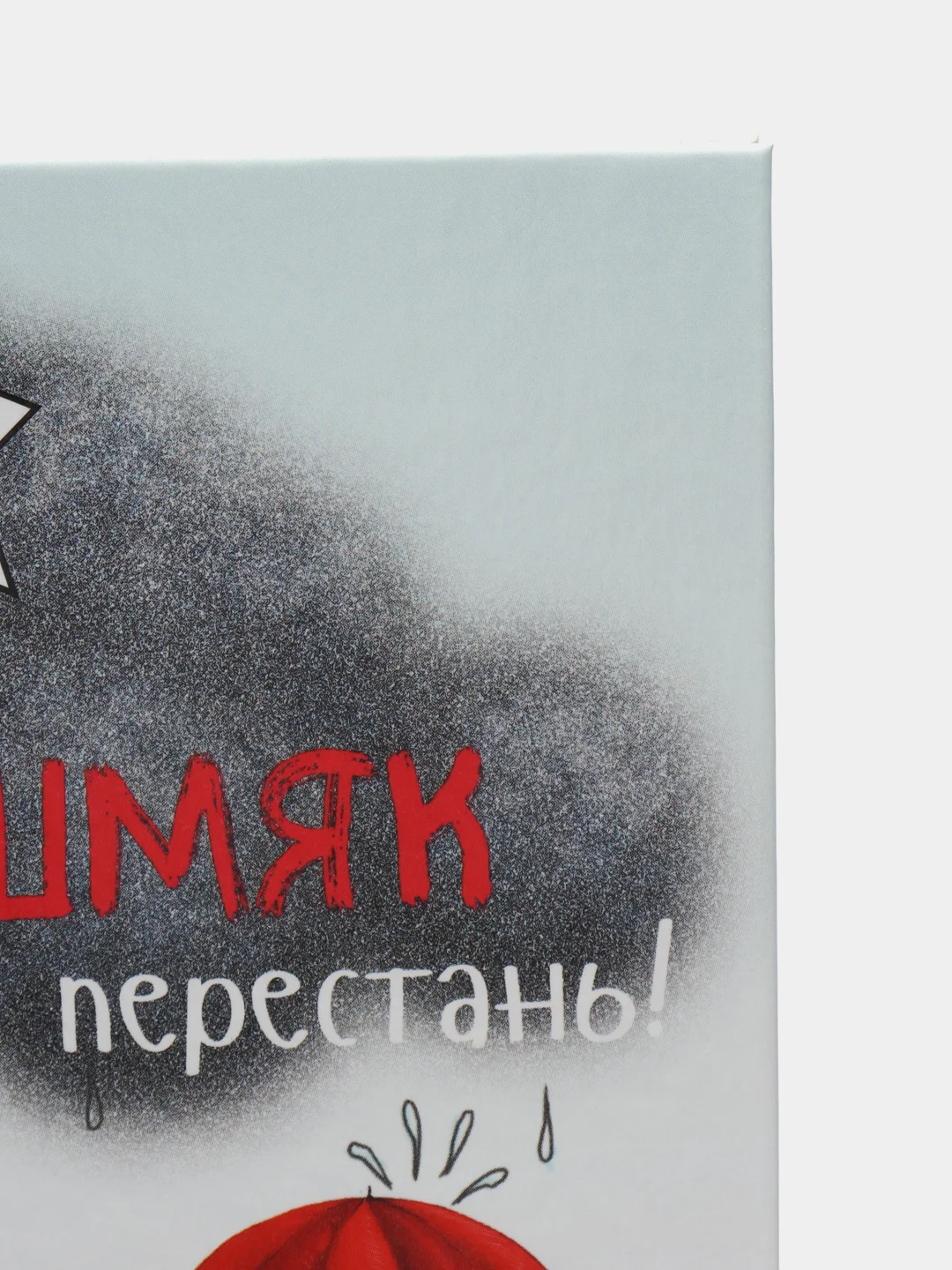 Котенок Шмяк: Дождик, дождик, перестань! /Скоттон Роб