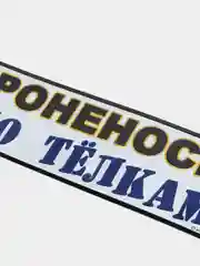 Голубой госномер металлический Триколор