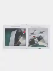 С Новым годом, Шмяк!/Скоттон Роб