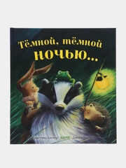 Тёмной, тёмной ночью /Батлер М. Кристина