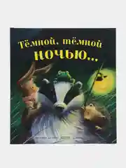 Тёмной, тёмной ночью /Батлер М. Кристина
