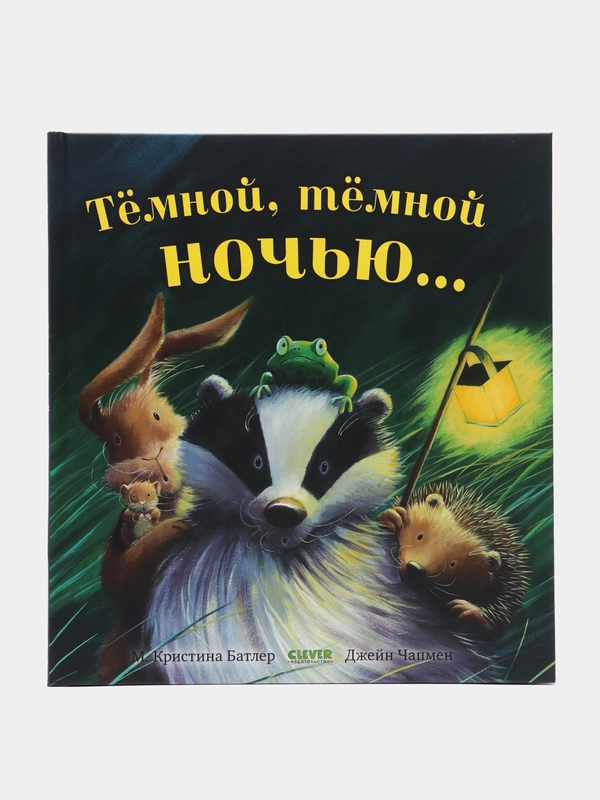 Тёмной, тёмной ночью /Батлер М. Кристина