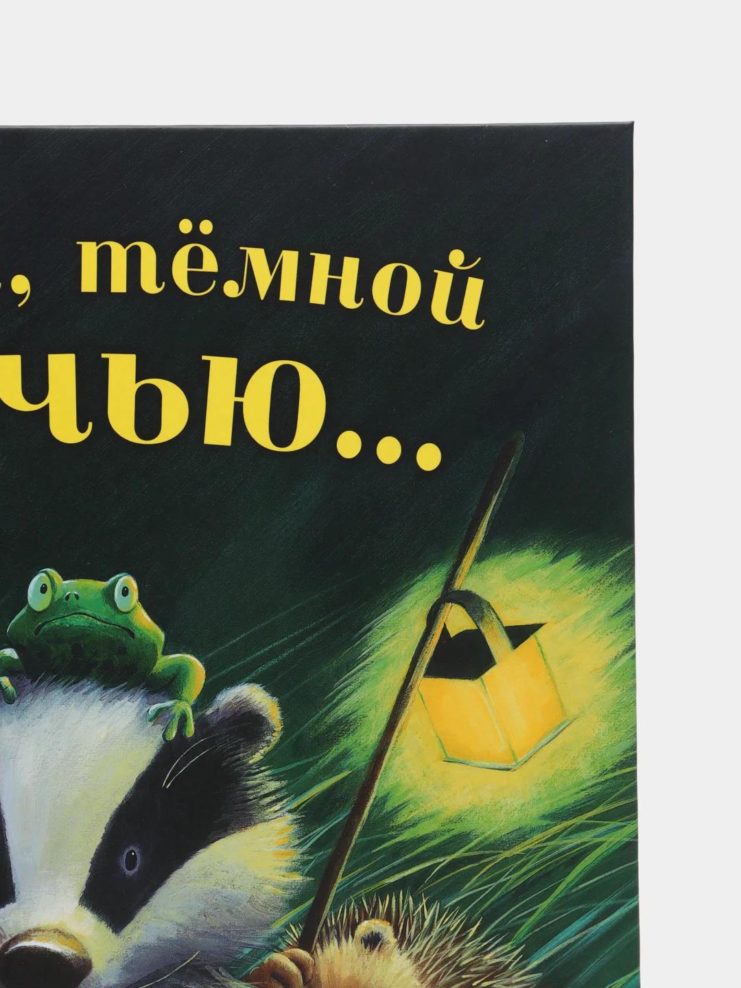 Тёмной, тёмной ночью /Батлер М. Кристина