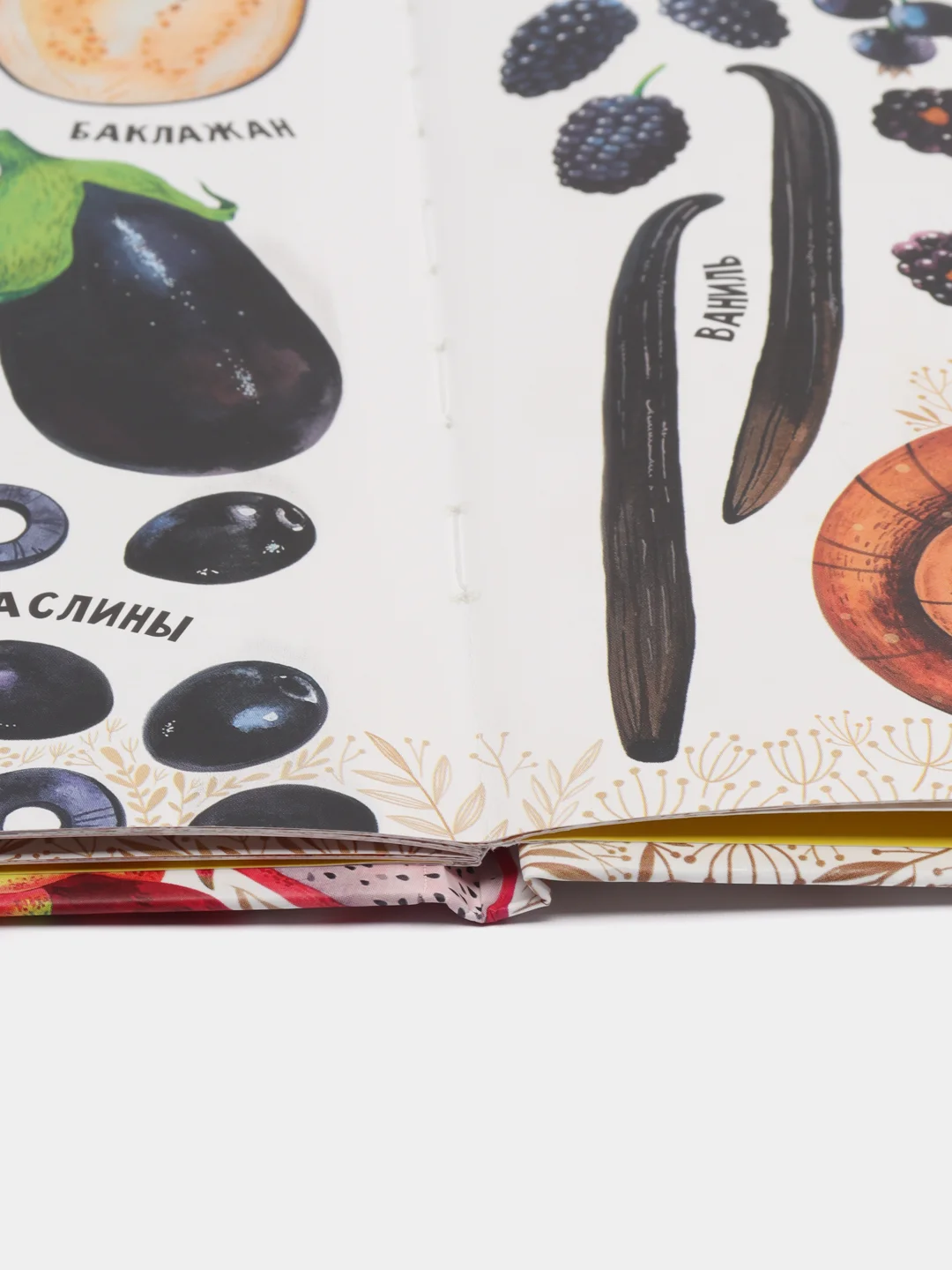 Первые книжки малыша. Приключения улитки Элли в мире фруктов и овощей, Константиновская О